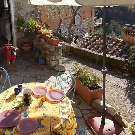 Chezcatherine Villa Sarzana Esterno foto