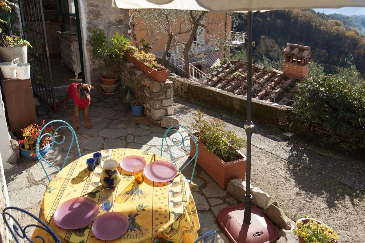 Chezcatherine Villa Sarzana Esterno foto